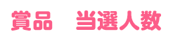 賞品 当選人数